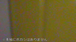 gobuc014【外資系OL】西田カリナ エロGIF 1
